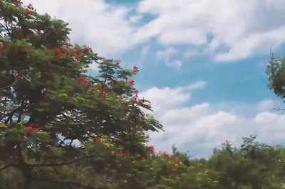 Cloud timelapse in Delhi from today