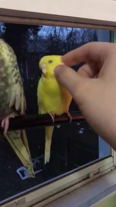 They’re so precious