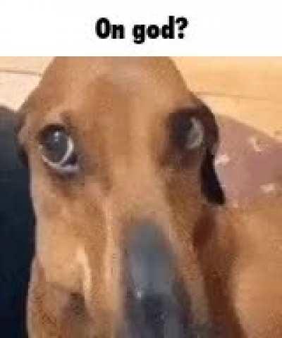 on god?!