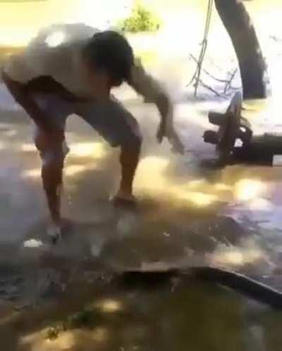 Touching an electric eel seems like a good idea