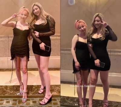 Made something with this stunning duo