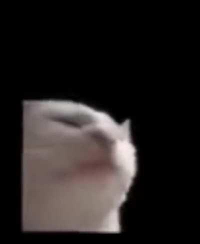 monsoon S E G G S Update