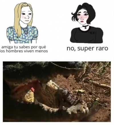 BeelcitosMemes - Video #0683