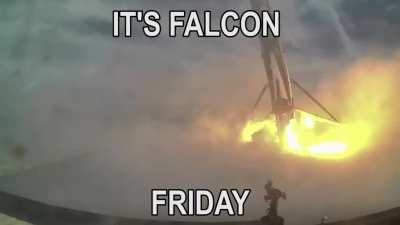 It's Friday my dudes!