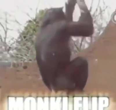 Monke minecraft