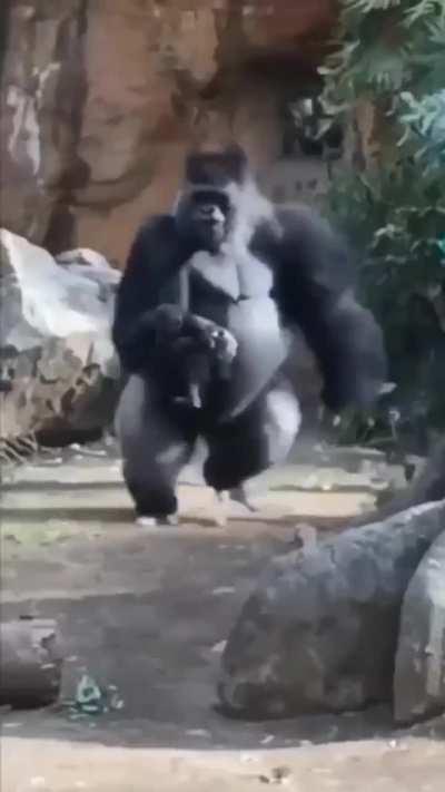 A Touching Moment Between Two Moms and Their Newborns...