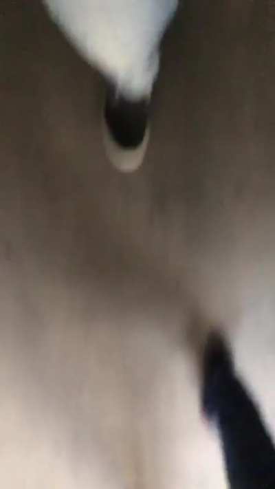 School trip to the park in 2021 be like