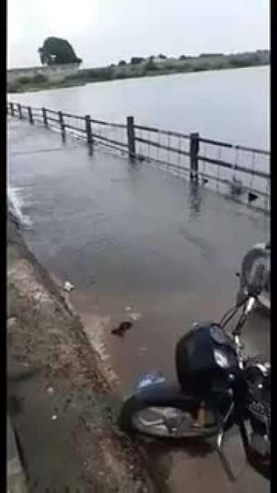 Trying to cross flooded bridge
