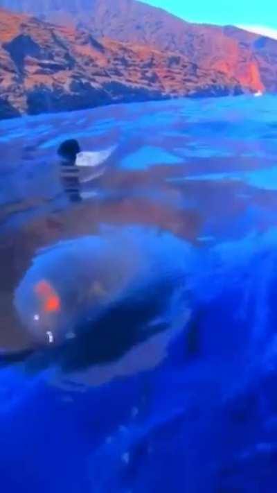 I may have jumped a little