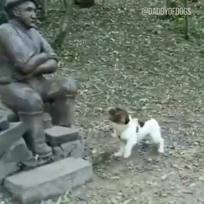 The dog try to play with the statue
