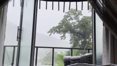 Opened our balcony doors in our hotel room in Thailand