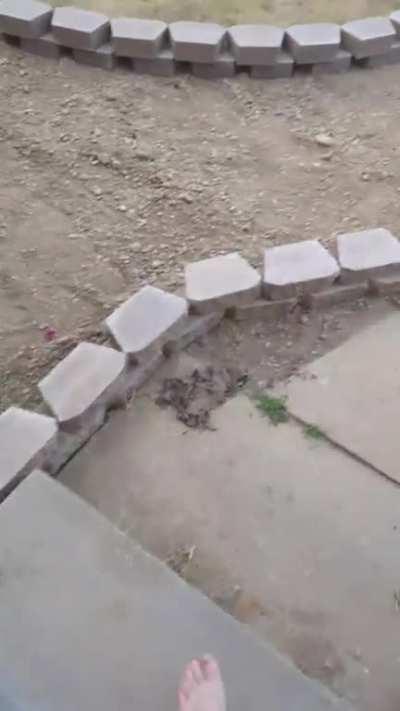 Happened about a week ago or so, but still feels amazing.