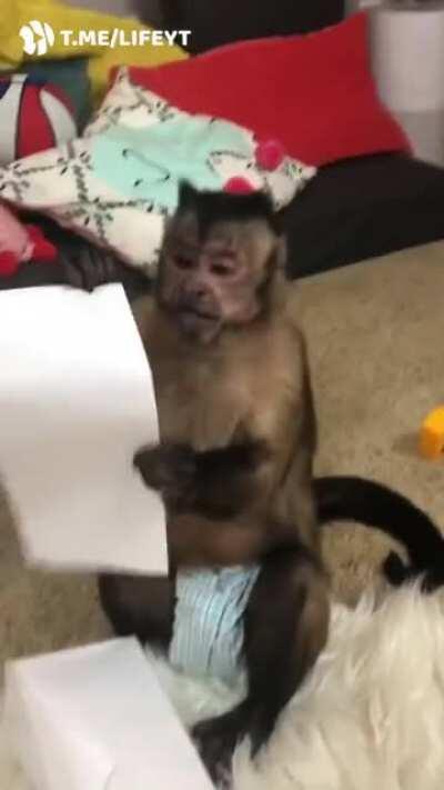 Виртуозная распаковка. Дождитесь момента изучения инструкции!