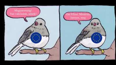 az oroszok már a patikában vannak