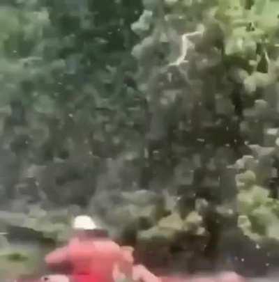 Let me just poke this nest here…