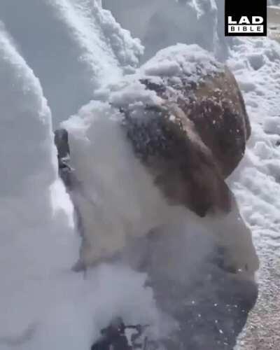 I live in Wisconsin and appreciate everyone in the snow removal industry.