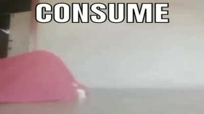 consume