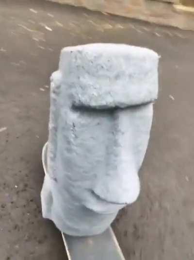 MOAI 🛹🗿