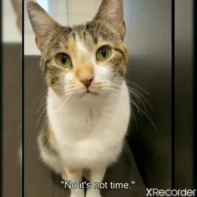 I think my heart just melted