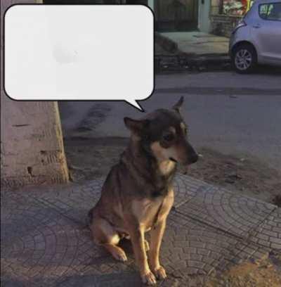 Sábio irmão do Leandro 🙏🏻