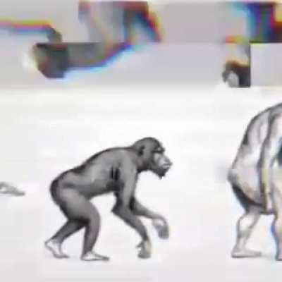 mi teoria de la evolucion XD