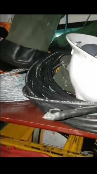 Ele ainda não me deu o meu doce 😡