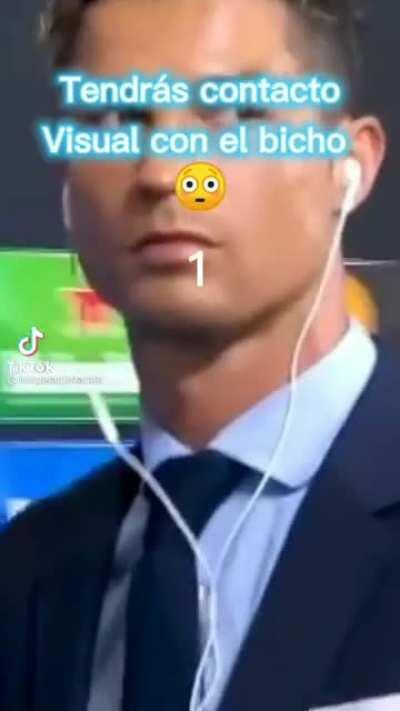 Eu aparença do Bicho 😳