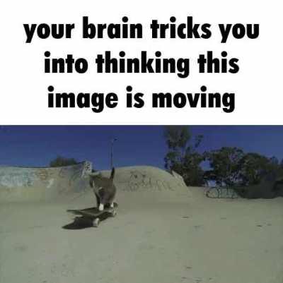 your brain tricks you into thinking this image is moving