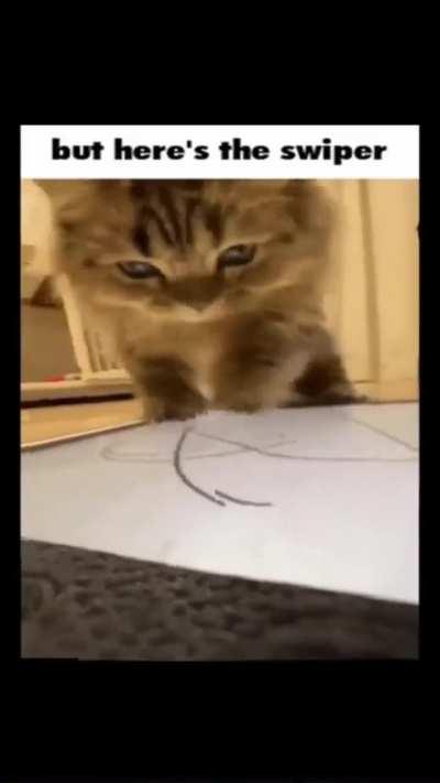 but here's the wunker