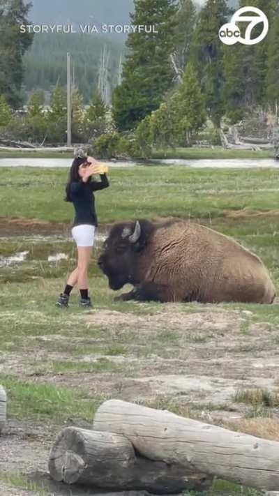 This could have ended very badly.