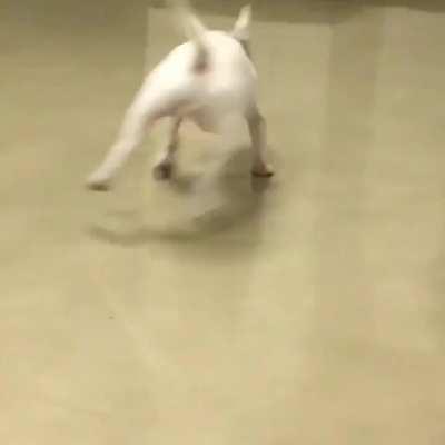 Post-elevator ride derpiness...