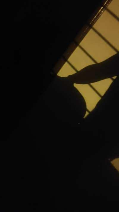 Just some shadows clapping in appreciation of that ASS