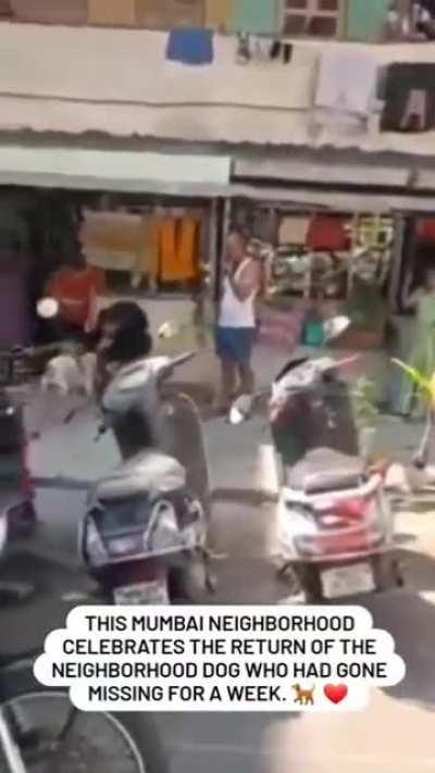 The way this community welcomed their dog in Mumbai, India.