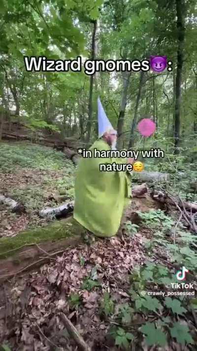 Losercity People vs Gnome Kingdom Scholars 🧙‍♂️🧙‍♂️