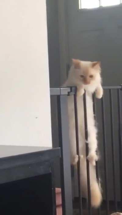 I’ll miss you Jack