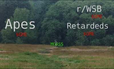 The Mother of All Short Squeezes