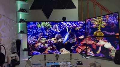 Wallpaper Engine Screensaver setting is pretty slick