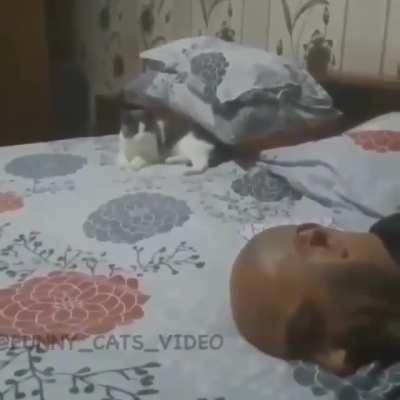 Hide n seek with hooman