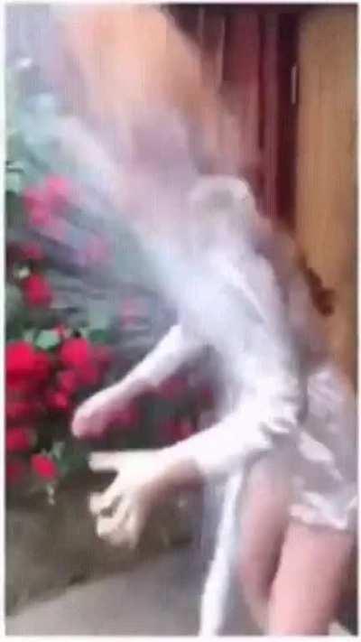 Trying to open a champagne bottle