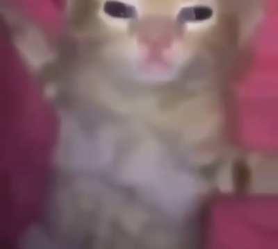 like my ipod stuck on replay