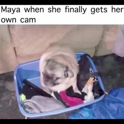 I like Maya cam