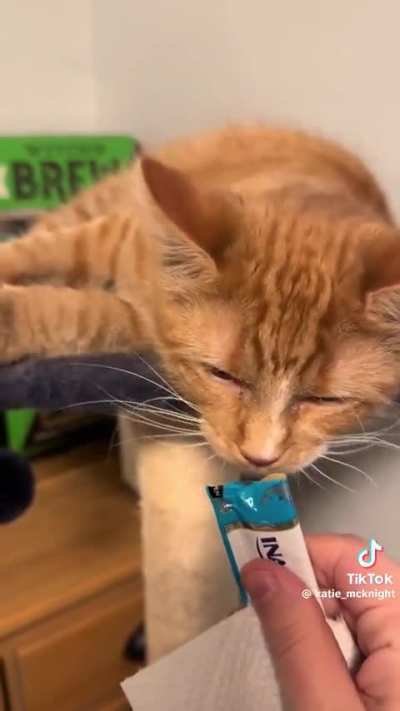 Kitty’s first churro