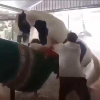 How do you even escape from this?