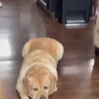 Wenn you are big and secure you tolerate all good things.