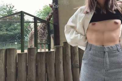 Oops, sorry Mr. Giraffe 🦒