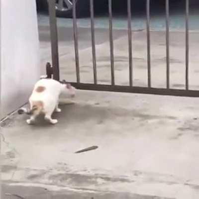 '' Work harder not smarter ''