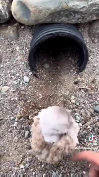 That one tf2 video but its tc2 now