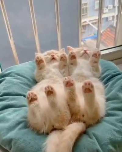 We sleep with our toes to the sky