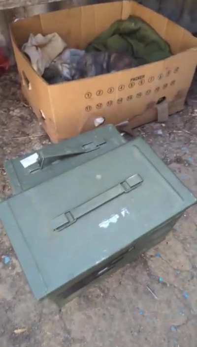 War Kitten Pipeline in Action! Dear r/catsofukraine, moderator here. In 2 days since our Pipeline was established we managed to raise $368 out of $900 goal to evacuate our well-fed kittens. We also have two users willing to adopt them - in Denmark and Jap