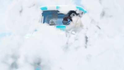 You're a Wizard Bruce! 🧙